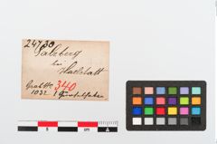 Etiketten zu Bronzegürtelhaken (NHMW-PRAE-024730)